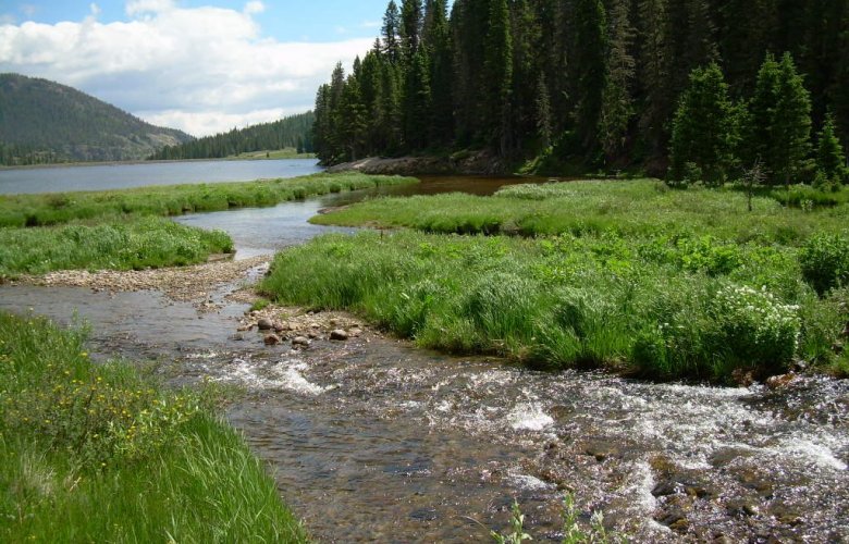 God is streaming His thoughts to you